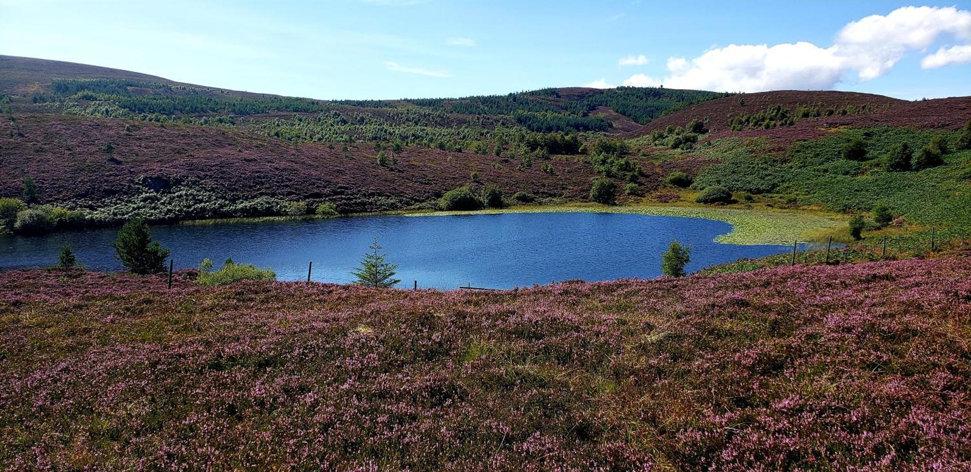 Highland Glen Lodges Rogart Exterior photo